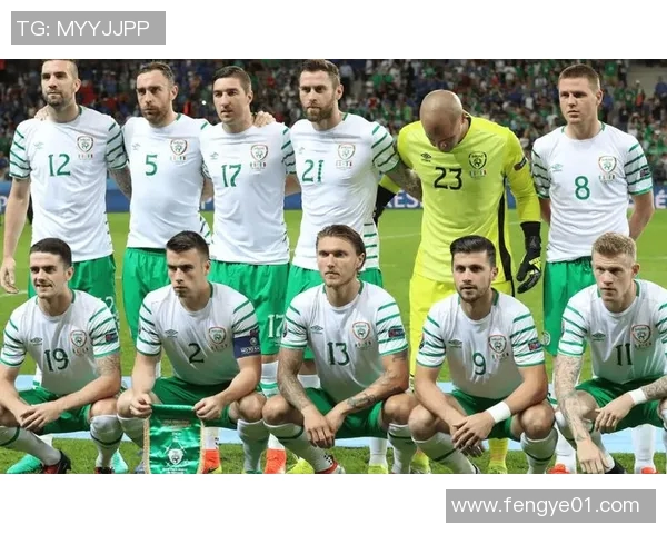 匈牙利与葡萄牙对决前瞻分析双方阵容战术及历史交锋数据解读